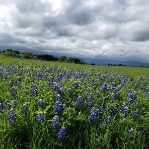Meet your Posher, Evelyn